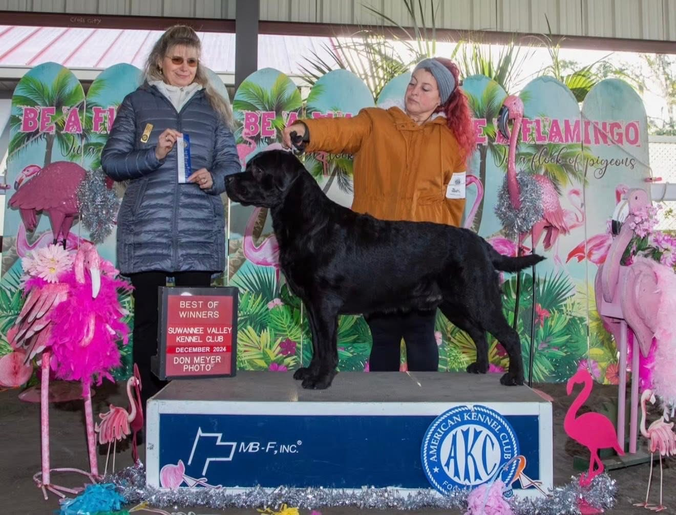 AKC Ch / Int Ch Chambrays Life Is Good At Bonita Creek JAMSS